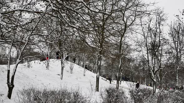 Time Lapse of People Sledge Riding at Snowy Slope in Winter Park