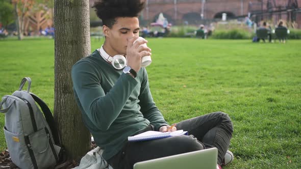 Beautiful Serious Afro Student Is Working at the Park Near University.