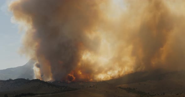 Forest Fire Burning Mountainside