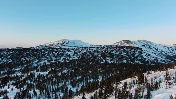 Snowy Mountains with Pine Tree Forest Against Blue Sky