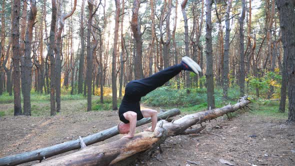 Strong Man Doing Handstand on Log in Forest. Hardy and Muscular Guy Doing Stunts at Wood. Athlete