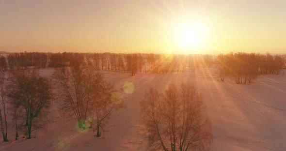 Aerial Drone View of Cold Winter Landscape with Arctic Field, Trees Covered with Frost Snow and