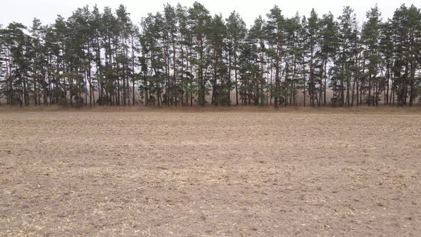 Land in a Plowed Field in Autumn