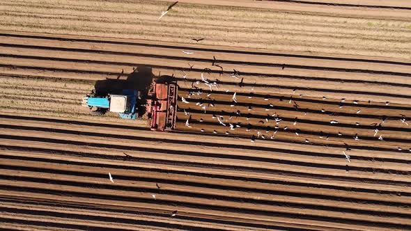 Agricultural Work on a Tractor Farmer Sows Grain