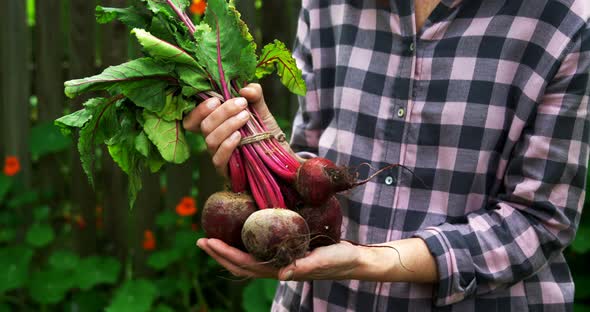 Mature woman holding beetroot vegetable 4k