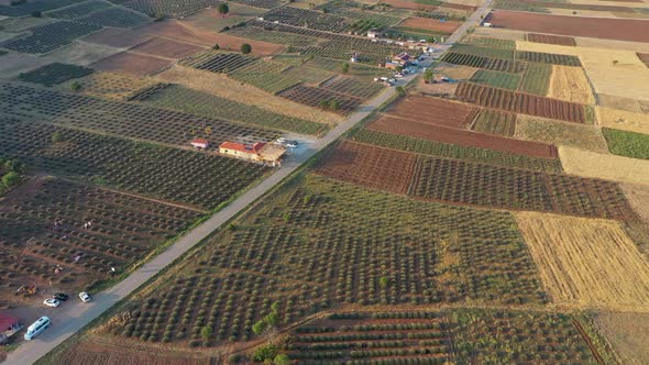 Lavender Fields Turkey Alanya