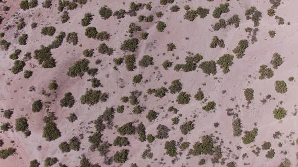 Aerial view looking down at brush across the Utah desert