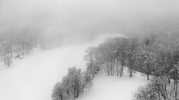 Aerial View of a Frozen Forest with Snow Covered Trees at Winter During Foggy Day