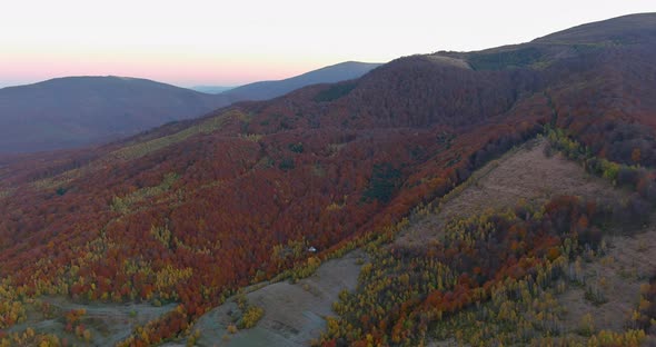 Beautiful Autumn Morning Forest of Mountain Landscape