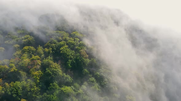 Morning Fabulous Fog That Covers the Mountains. Aerial Top View of Green Trees Covered with Thick