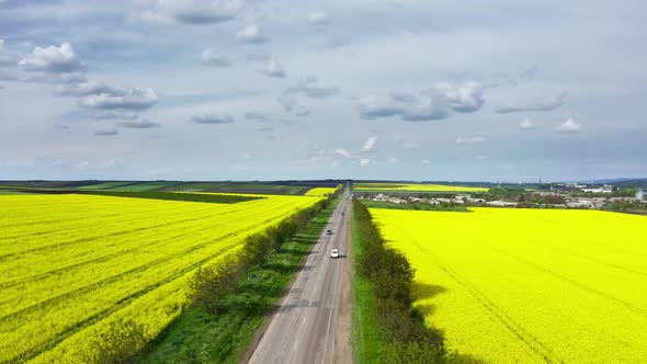 Aerial View of Yellow Blooming Oilseed Rape Fields