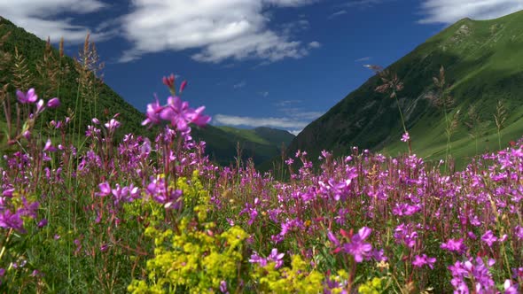 Caucasus Mountains and Blue Cloudy Sky Near Ushguli Village in Svaneti, Georgia. , FHD