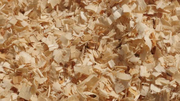 Background   with wood cutting scobs pile slow pan 4K 2160p 30fps UltraHD footage - Wooden sawdust o