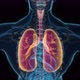 Male lung 3d hologram - VideoHive Item for Sale