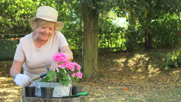 Senior woman gardening in garden