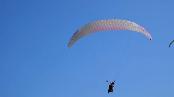 Extreme Paraglider Flying Against a Clear Blue Sky. Paraglide Flight Experience Skydive Summer