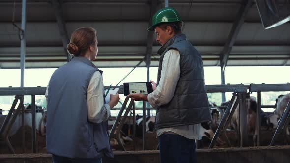 Animal Farmers Using Tablet Computer at Feedlots