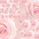 Floating Rose Background - 4 Clip - VideoHive Item for Sale