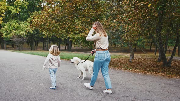 Young Mom and Little Daughter are Giving Five to Each Other and Smiling Walking in Autumn Park with