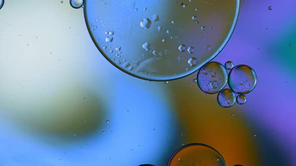 Abstract Colorful Food Oil Drops Bubbles 185 alt