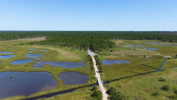 Aerial view of the national park landscape, research reserve, wetland and forest