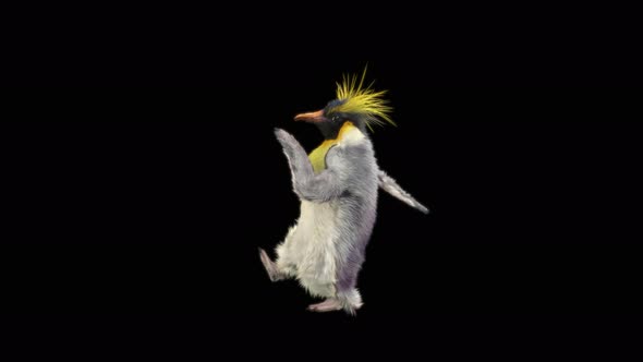 Penguin Dancing 4K