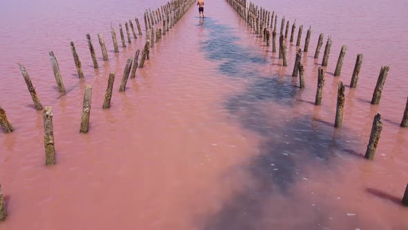 SasykSivash is the Largest Lake and Salt Lake on the Crimean Peninsula