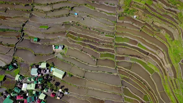 Rice Terraces In Philippines  Rice Paddies Valley Of Batad Philippines  Aerial Drone Shot