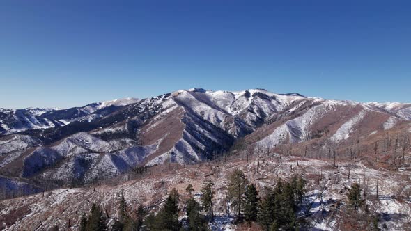 Drone shot pushing forward and revealing a huge mountain range with trees