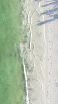 Beach on the Coast of Zanzibar Island Tanzania