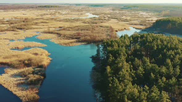 Aerial View Of Forest Woods And Partly Frozen River Landscape In Sunny Late Autunn Day