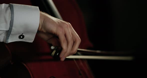 Violinist Plays Beautifully.Hands Details. 