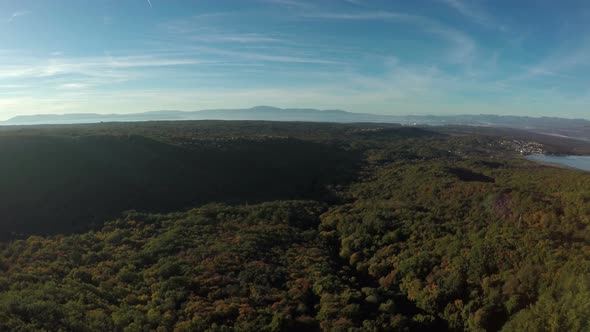 Aerial view of green forests