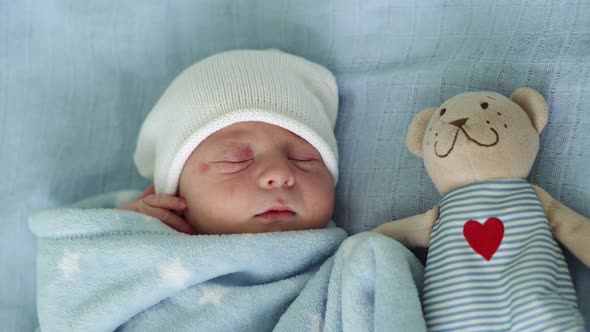 Closeup of Newborn Baby Face Portrait Early Days Sleeping With Tady Bear On Blue Background