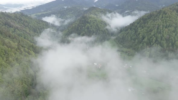 Ukraine, Carpathians: Fog in the Mountains. Aerial. Gray, Flat