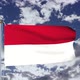 Monaco Flag Waving - VideoHive Item for Sale