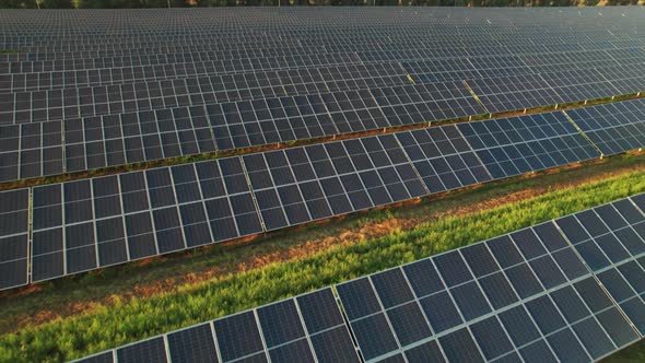 Aerial View Solar Power Station on Green Field at Sunset Solar Panels in Row