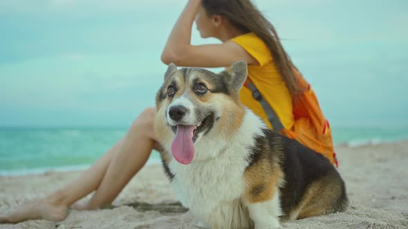 Attractive Young Woman Smiling and Spending Time Together with Her Pet Cute Corgi Dog Outdoors at