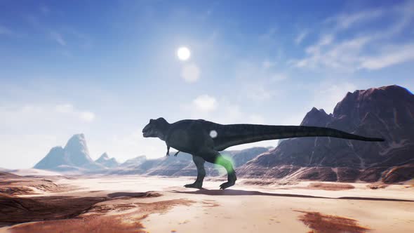 Dinosaur in Desert