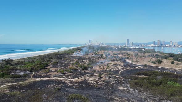 Fire destroys a section of critically endangered littoral rainforest and coastal vegetation close to