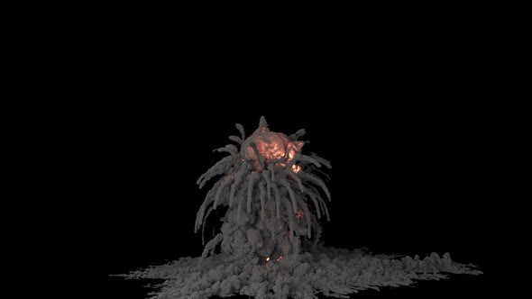 Explosion of Explosives