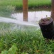 Sprinkler close to a tree in a park - VideoHive Item for Sale