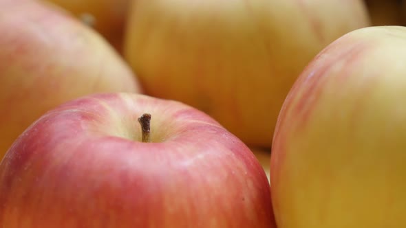 Malus pumila domestica fruit background close-up 4K 2160p UHD  panning footage - Organic fresh  appl
