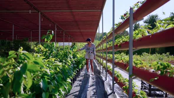 Female Gardener in the Plants Nursery