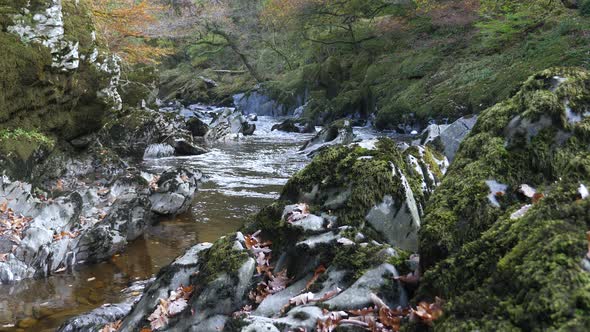 Moss Covered Rocks With Water Flowing Down Afon Conwy In Background. Locked Off