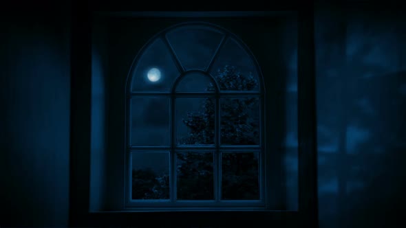 Moonlight Casts Shadows On Wall Through Window