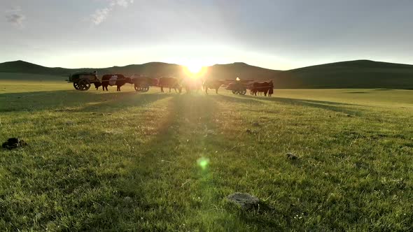 Central Asian Family People Walking Immigrating With Traditional Old Oxcart Tumbrel And Tumbril Cart