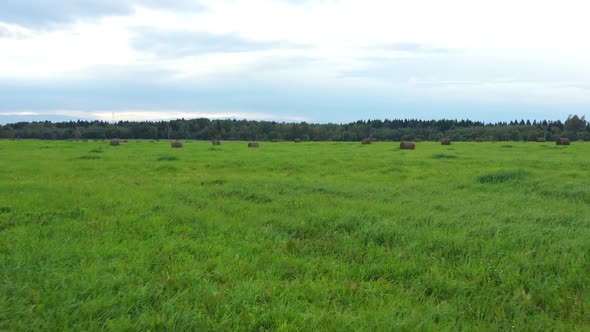 Haystacks on Field with Green Grass. Autumn Time