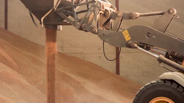 Excavator Loader Bucket Loading Grain Close Up