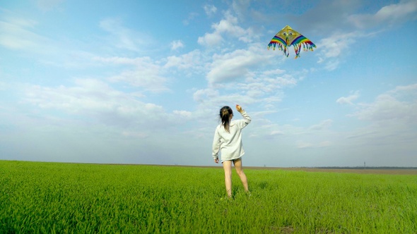 Little girl playing with a kite on a green field